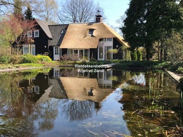 Nieuw rieten dak in Uffelte