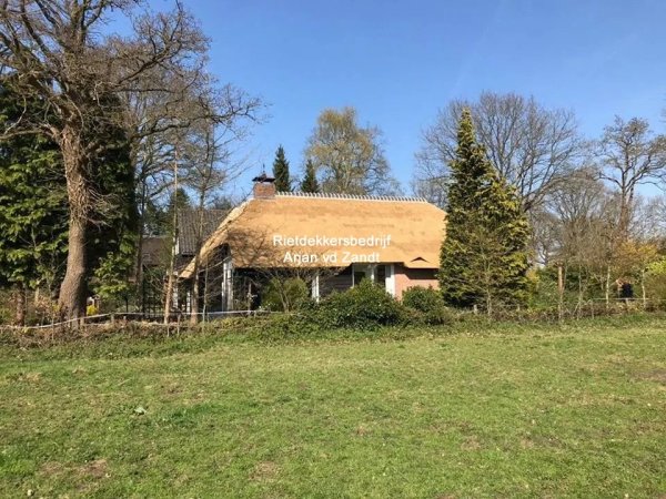Nieuw rieten dak in Uffelte