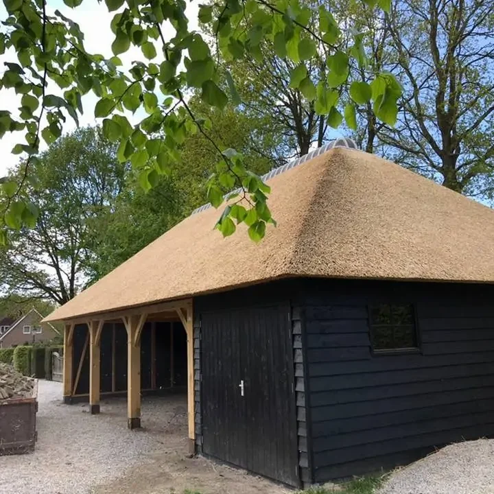 Nieuw rieten dak in Uffelte