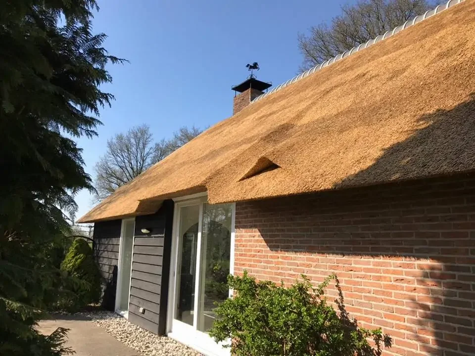 Rietdekkersbedrijf Arjan van der Zandt